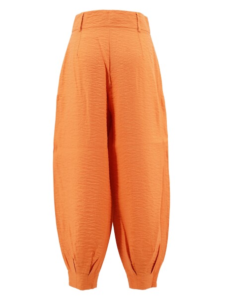 Pantaloni modello carrot vintage - 2