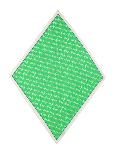 Sciarpa Verde - 2