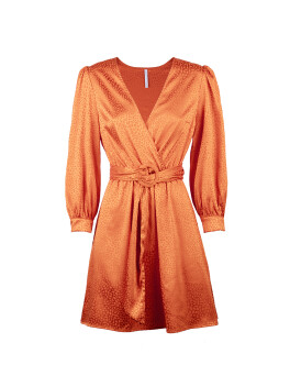 Cross-over V-neck dress