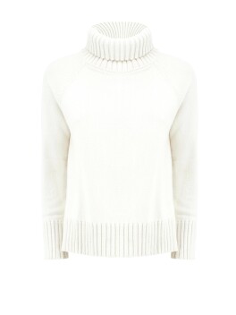 Raglan model turtleneck